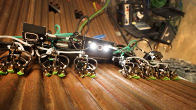 The Role of Gecktech in Modern Technology and Digital Innovation