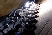 Discovering Gecktech Through Emerging Technology Trends in 2026