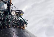 How Digital Transformation and Innovation Connect with Gecktech