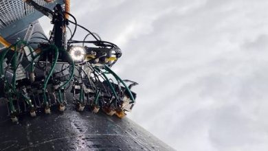 How Digital Transformation and Innovation Connect with Gecktech
