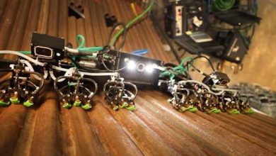 Gecktech: Exploring Emerging Technology Trends and Innovations